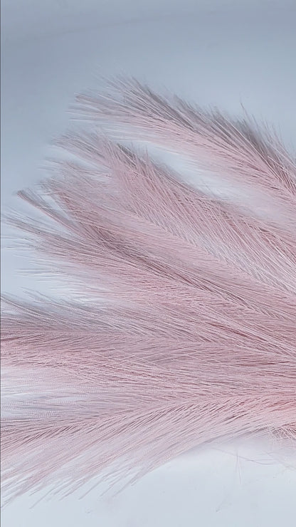 Miss Rose Waterproof Lip Liners - Miss Rose Com Pk